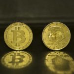 Why Is the Most American Fruit So Hard to Buy?